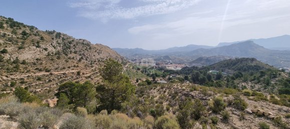 88778m² Land in Alicante, Spain No. 150469 34