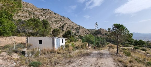 88778m² Land in Alicante, Spain No. 150469 12