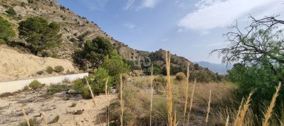 88778m² Land in Alicante, Spain No. 150469 10