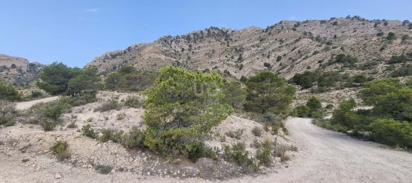 88778m² Land in Alicante, Spain No. 150469 15