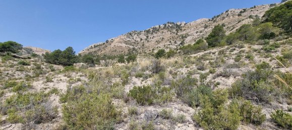 88778m² Land in Alicante, Spain No. 150469 30