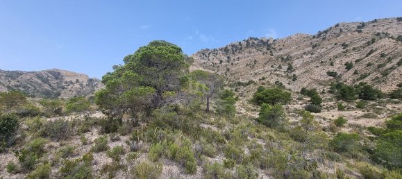 88778m² Land in Alicante, Spain No. 150469 20