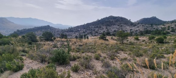 88778m² Land in Alicante, Spain No. 150469 16