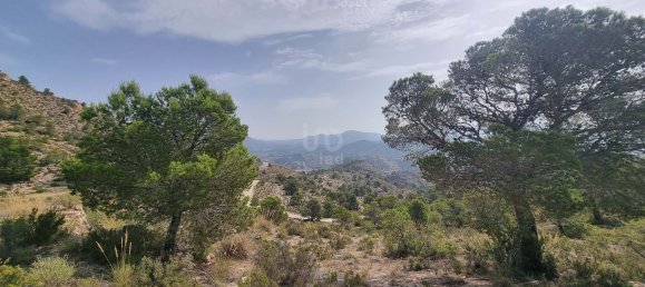 88778m² Land in Alicante, Spain No. 150469 28