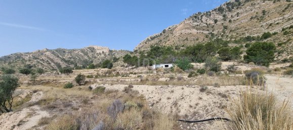 88778m² Land in Alicante, Spain No. 150469 24
