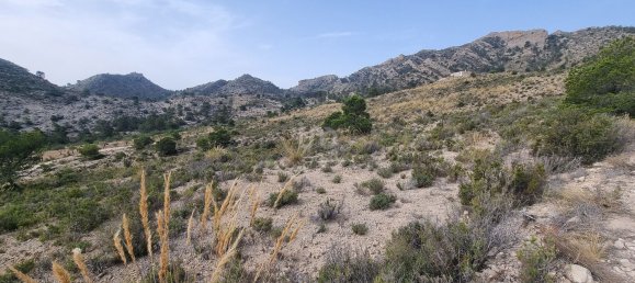 88778m² Land in Alicante, Spain No. 150469 17