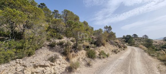 88778m² Land in Alicante, Spain No. 150469 32