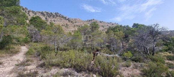 88778m² Land in Alicante, Spain No. 150469 13