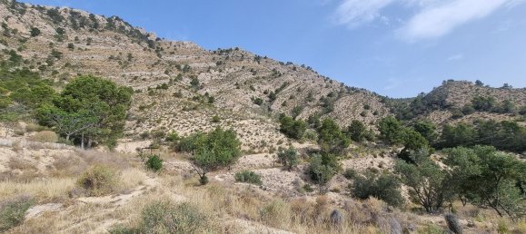 88778m² Land in Alicante, Spain No. 150469 25
