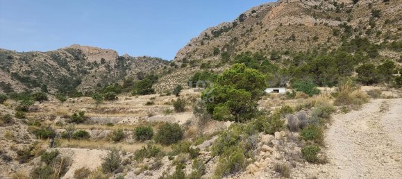88778m² Land in Alicante, Spain No. 150469 22