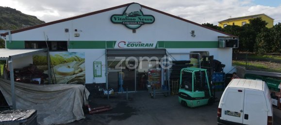 800m² Commercial property in Sao Bartolomeu de Messines, Portugal No. 65915 26