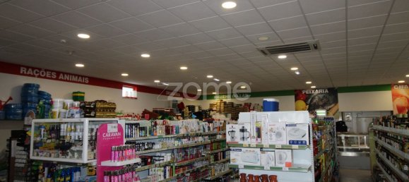 800m² Commercial property in Sao Bartolomeu de Messines, Portugal No. 65915 8