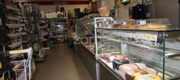 800m² Commercial property in Sao Bartolomeu de Messines, Portugal No. 65915 4