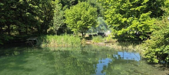 8غرفة منزل في Ybbsitz, Austria رقم 254260 2