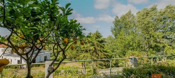 4 غرف نوم منزل في Mafra, Portugal رقم 48744 39