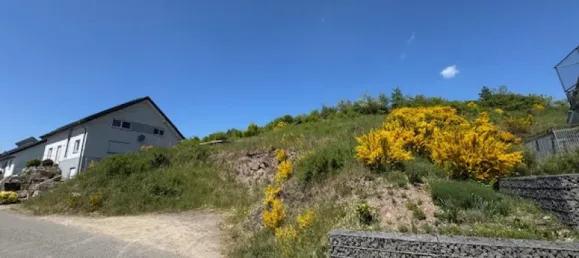 Земельный участок в Трир-Саарбург, Германия № 288018 2