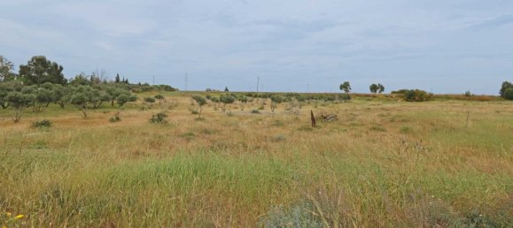 Villa in Frenaros, Cyprus, Nr. 24125 2