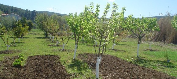 4غرفة عقار تجاري في Karystos, Greece رقم 8011 14