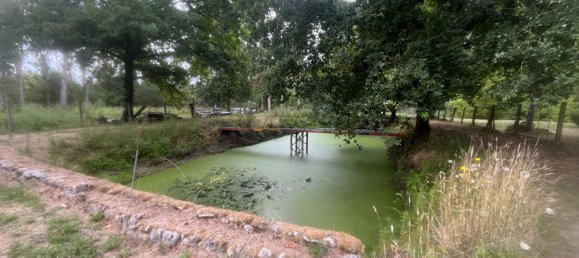 Grundstück in Loir-et-Cher, France, Nr. 293453 4