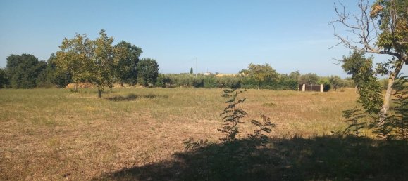 Studio in Ortona, Italy No. 93938 2