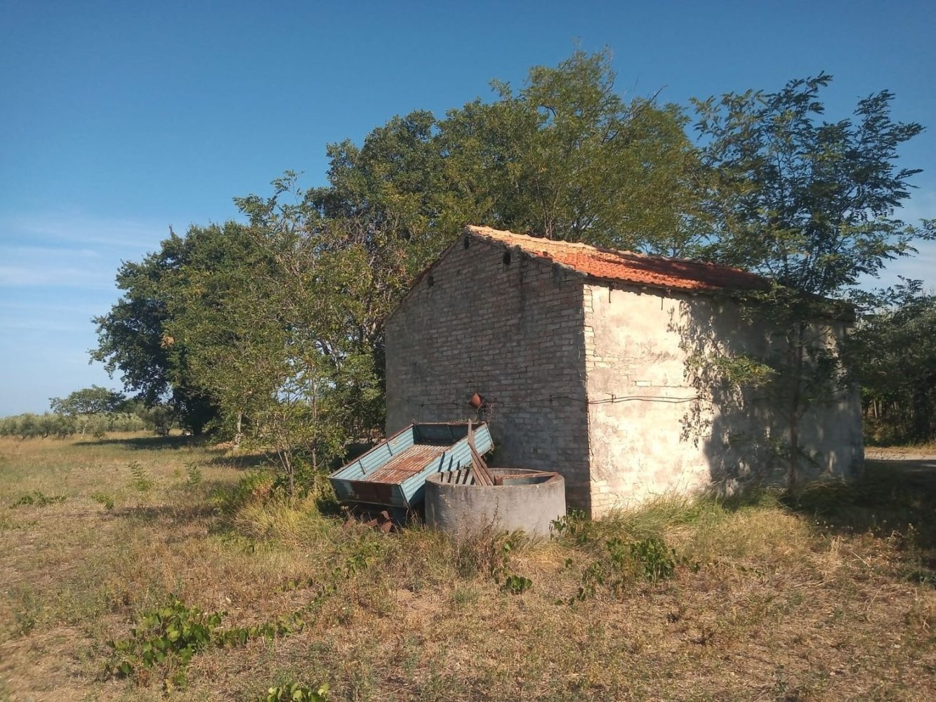 Studio in Ortona, Italy No. 93938