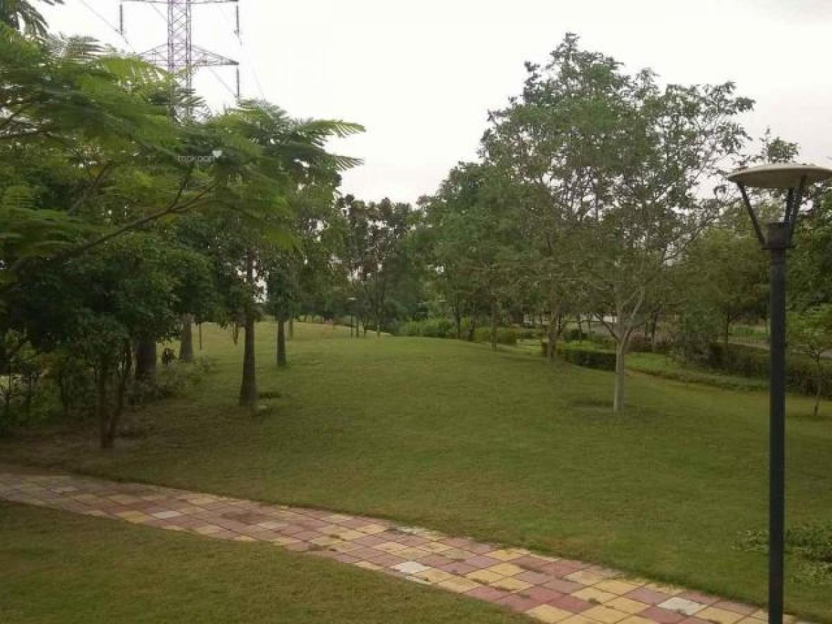 Terrain à Mohali, India No. 31462