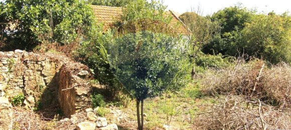 1 bedroom House in Arruda dos Vinhos, Portugal No. 47861 2