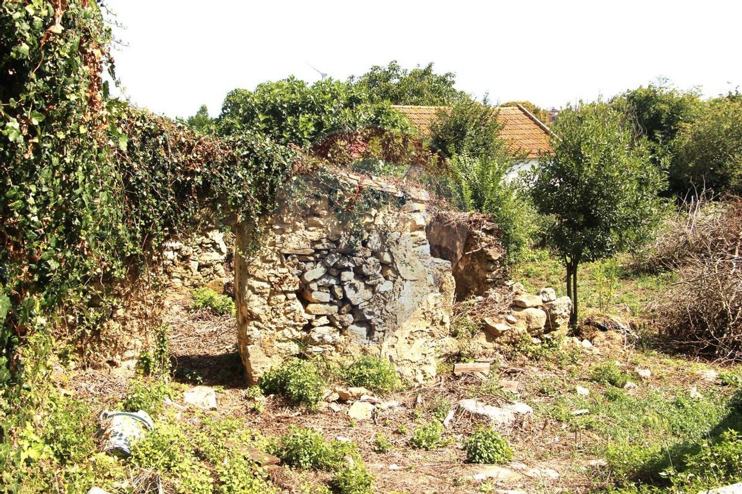 1 bedroom House in Arruda dos Vinhos, Portugal No. 47861