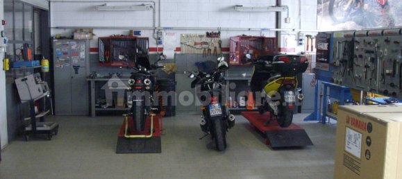 1 room Warehouse in Castel San Giovanni, Italy No. 122372 8