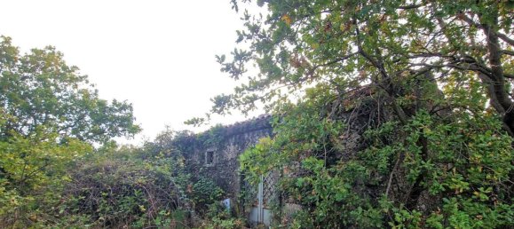 Studio in Linguaglossa, Italy, Nr. 106300 11