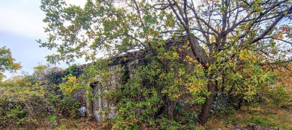 Studio in Linguaglossa, Italy, Nr. 106300 5