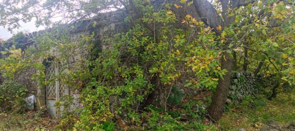 Studio in Linguaglossa, Italy, Nr. 106300 3