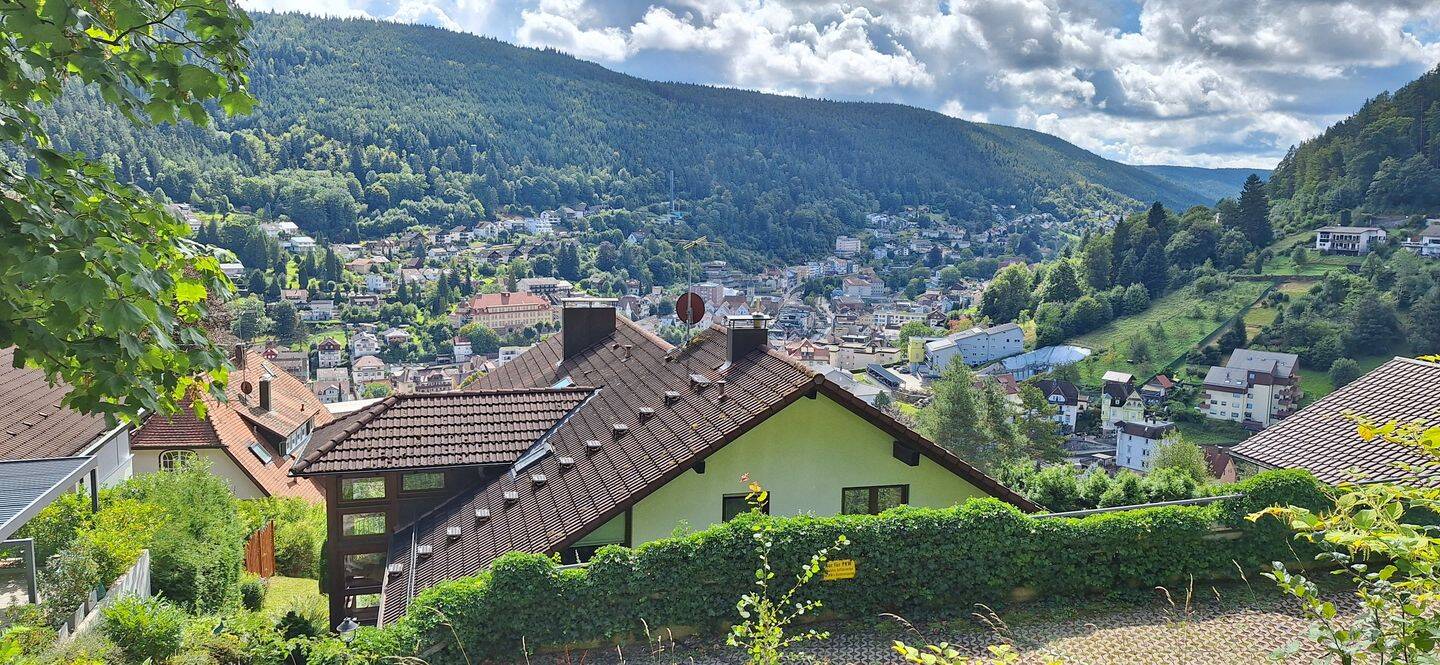 2 rooms Apartment in Calw, Germany No. 339957