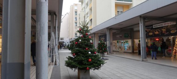 105m² Commercial property in Colmar, France No. 60053 2