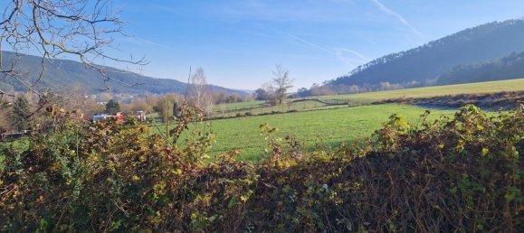 Terrain à Markt Piesting, Austria 518m² No. 77745 6