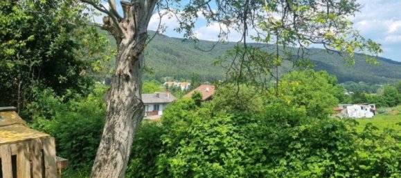 Terrain à Markt Piesting, Austria 518m² No. 77745 2