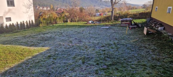 Terrain à Markt Piesting, Austria 518m² No. 77745 5