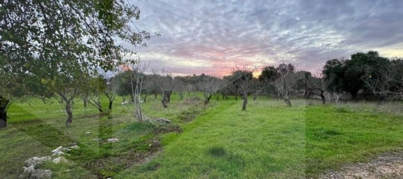 3-Zimmer Haus in Ostuni, Italy, Nr. 19609 7
