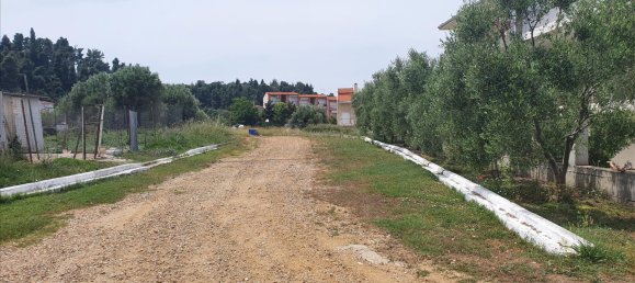 5786m² Hotel in Chalkidiki, Greece No. 4167 3