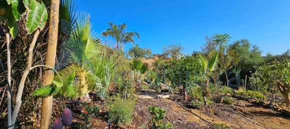 Дом с 3 спальнями в Лоле, Португалия № 133488 32