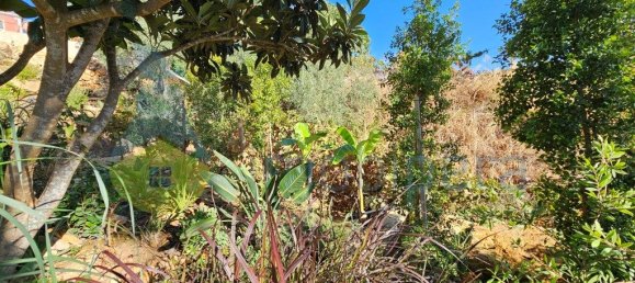 Дом с 3 спальнями в Лоле, Португалия № 133488 25