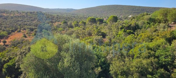 Дом с 3 спальнями в Лоле, Португалия № 133488 19