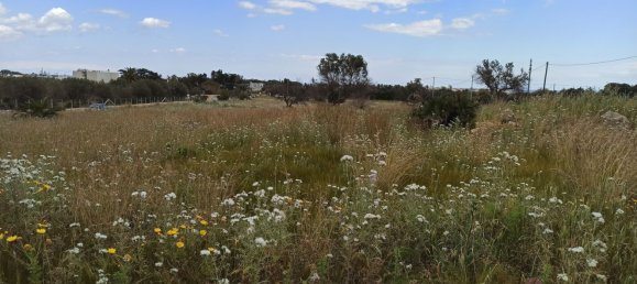 Terrain à Pachino, Italy 8352m² No. 63361 8