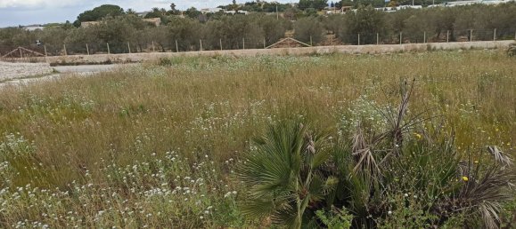 Terrain à Pachino, Italy 8352m² No. 63361 6