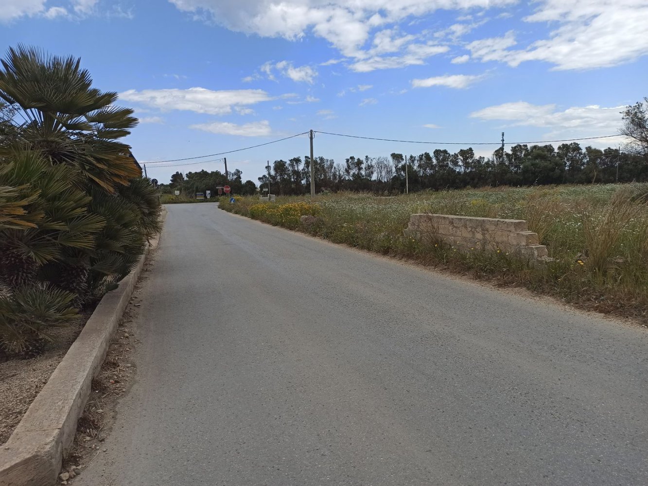 Terrain à Pachino, Italy 8352m² No. 63361