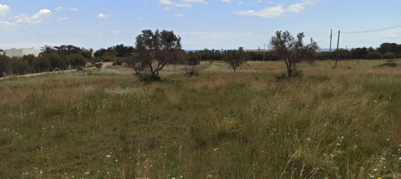 Terrain à Pachino, Italy 8352m² No. 63361 4