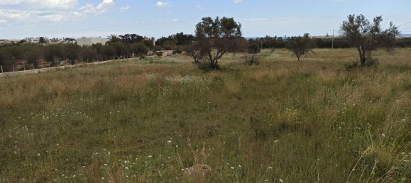 Terrain à Pachino, Italy 8352m² No. 63361 7