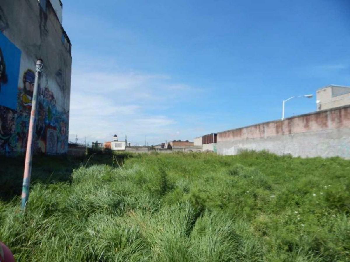  قطعة أرض في San Buenaventura, Mexico رقم 204812