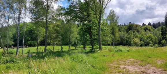 Terrain à Saulcy-sur-Meurthe, France 1741m² No. 260437 3