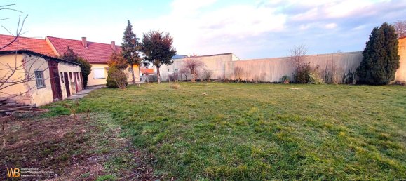 3-salle Terrain à Potzneusiedl, Austria No. 112423 2